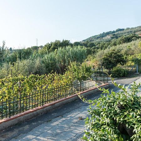 Fuga In Toscana 보르고 아 부기아노 외부 사진