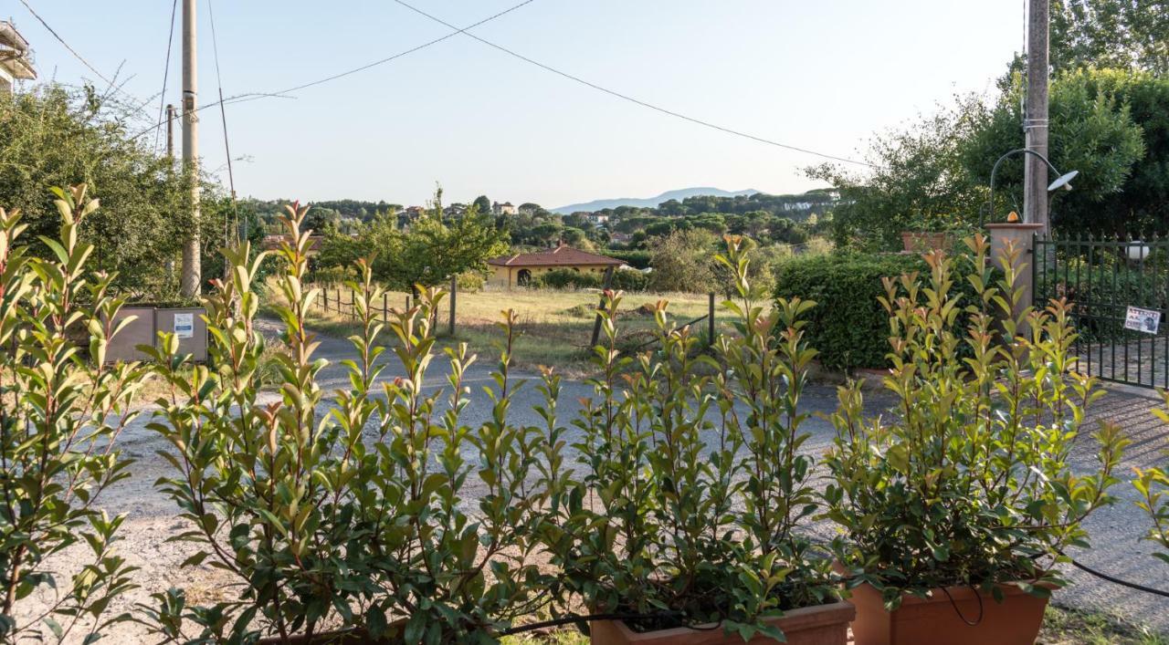 Fuga In Toscana 보르고 아 부기아노 외부 사진