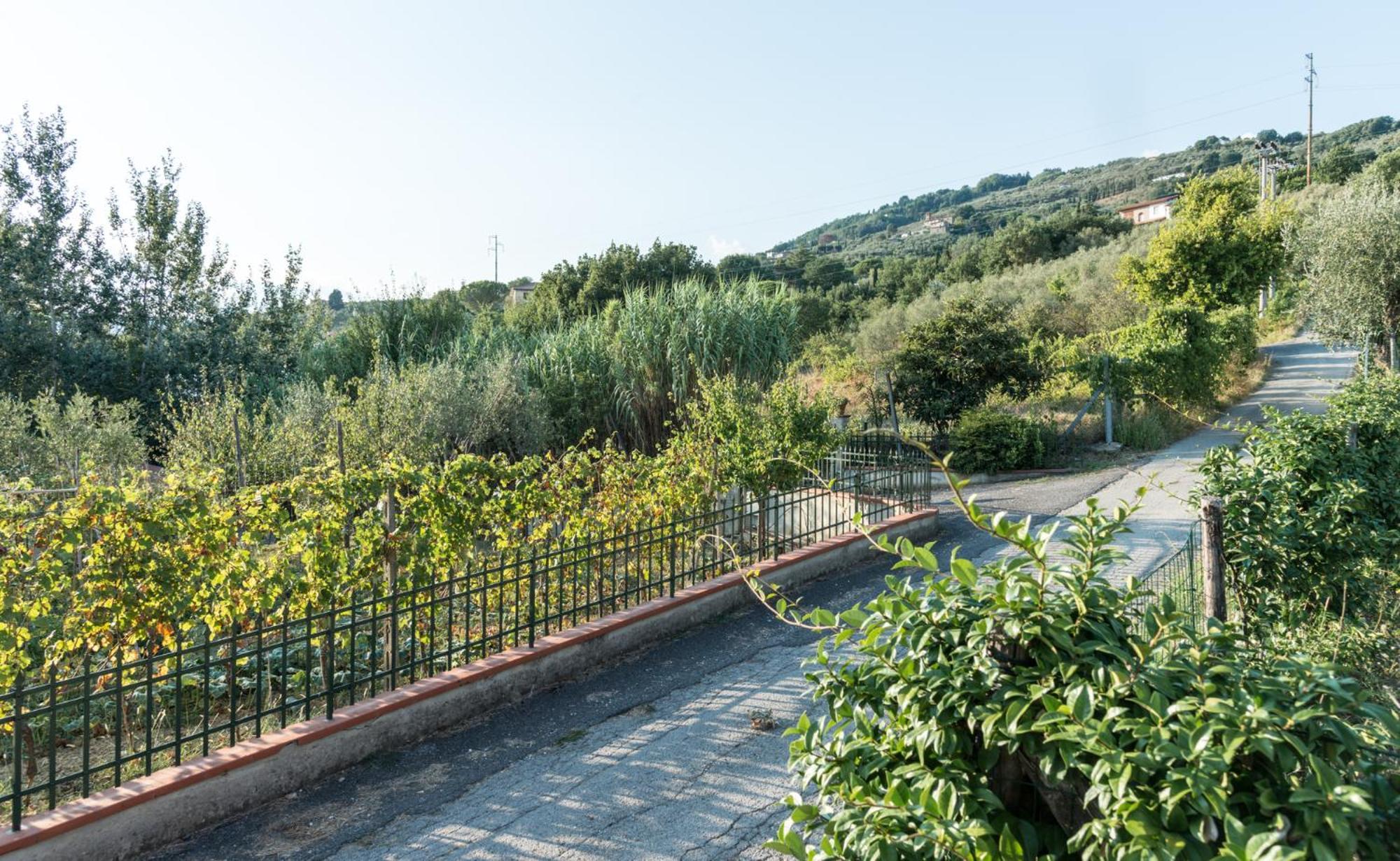 Fuga In Toscana 보르고 아 부기아노 외부 사진