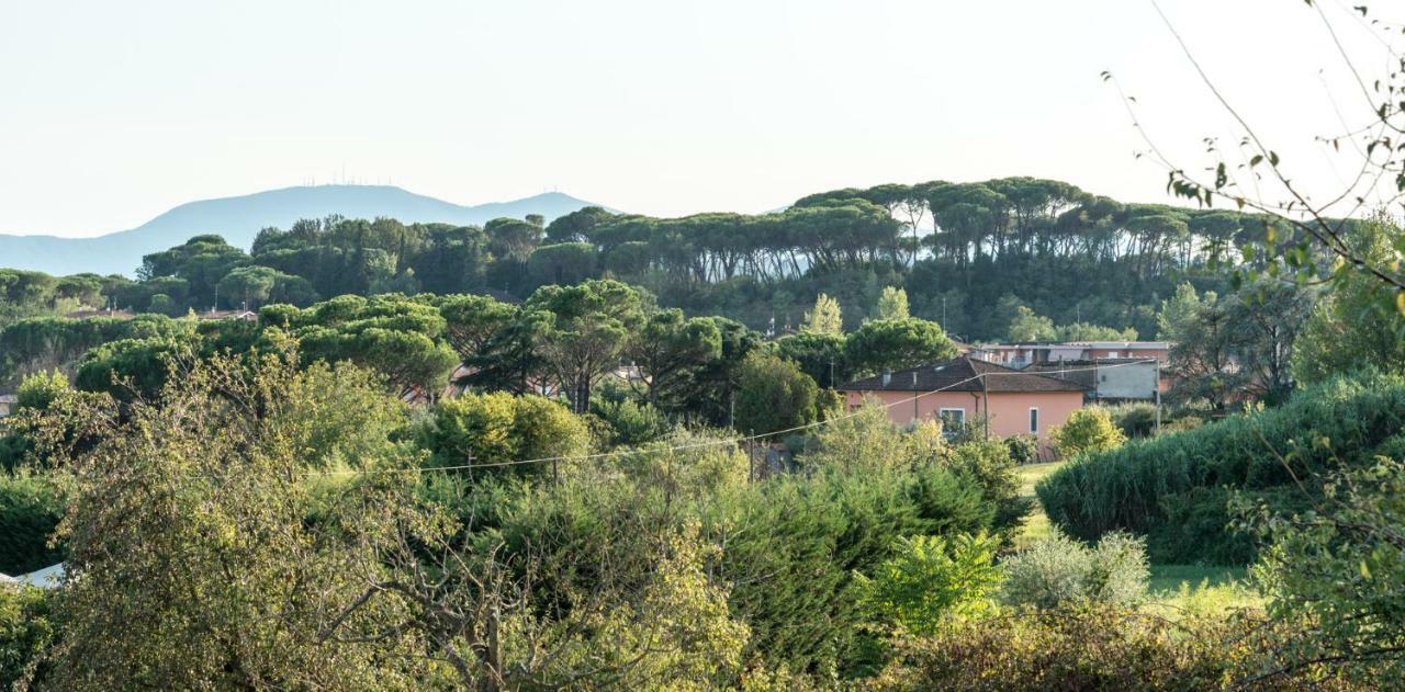 Fuga In Toscana 보르고 아 부기아노 외부 사진